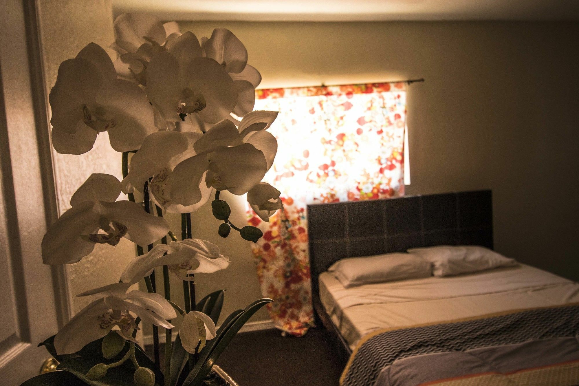 Hostel The Anderson Estates Los Angeles Exteriér fotografie